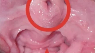 First Time Close Up View Of Indian Ankita Bhabhi Pussy